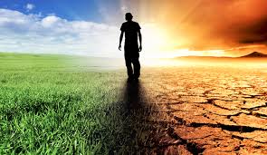 climate